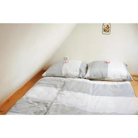Four Bedroom Holiday In Hostinné
